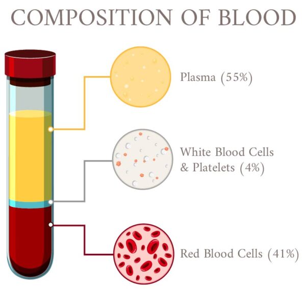 Composition-of-blood-2